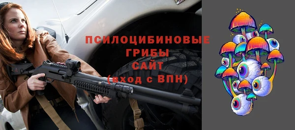 хмурый Арсеньев