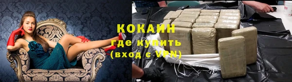 хмурый Арсеньев