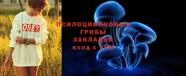 хмурый Арсеньев