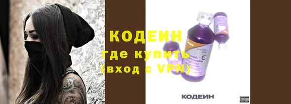 хмурый Арсеньев