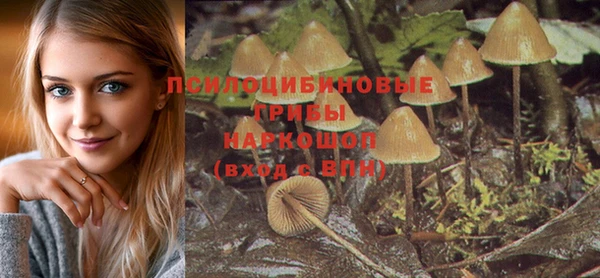 хмурый Арсеньев