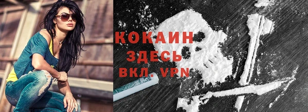 хмурый Арсеньев