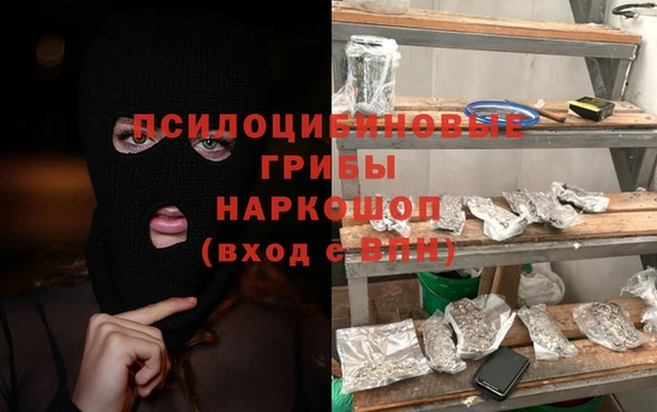 a pvp Аркадак
