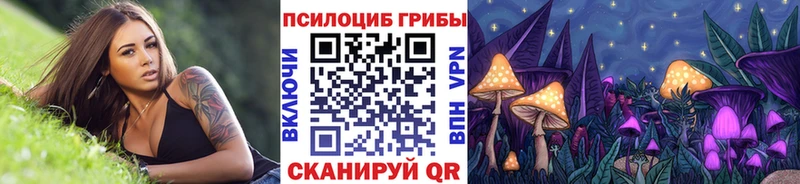Псилоцибиновые грибы Magic Shrooms где купить наркоту Павловск