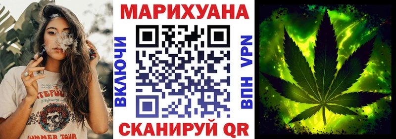 где можно купить   Павловск  Бошки марихуана сатива 